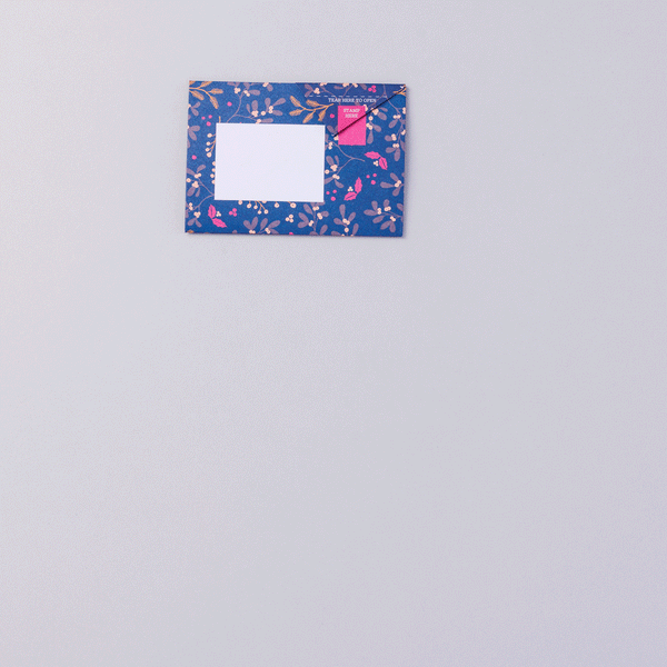 Winter Berries Pigeon Letter Paper 6-pack