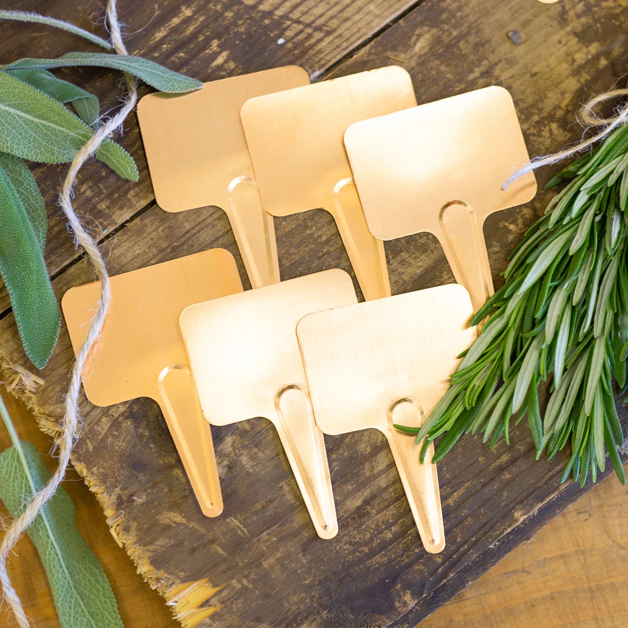 Nutscene - Copper Plant Labels – The Artisan Merchants