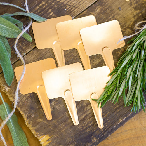 Nutscene - Copper Plant Labels