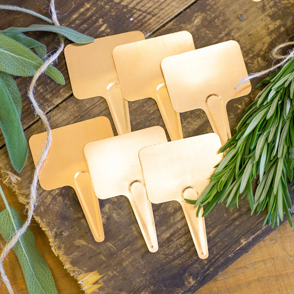 Nutscene - Copper Plant Labels