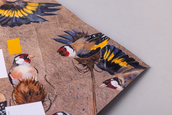 Golden Flight Pigeon Letter Paper 6-pack