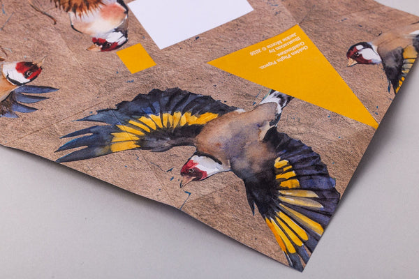 Golden Flight Pigeon Letter Paper 6-pack