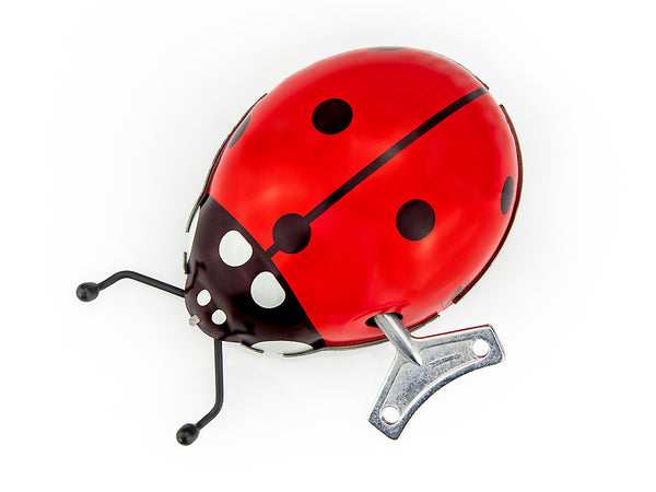 Red and black kovap ladybug-shaped bike bell on a white background