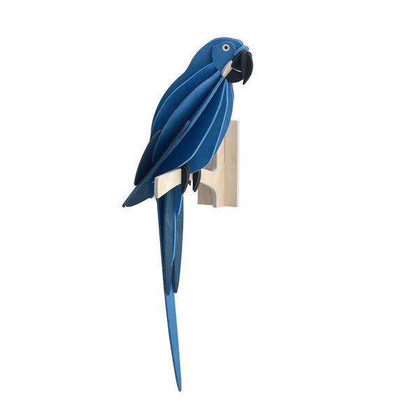 Parrot 26cm - Choice of Colour