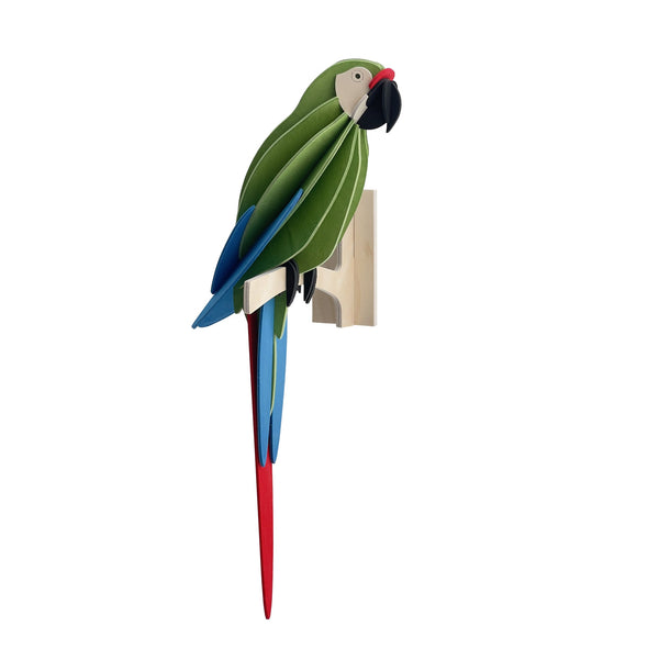 Parrot 26cm - Choice of Colour