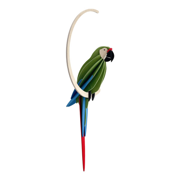 Parrot 26cm - Choice of Colour
