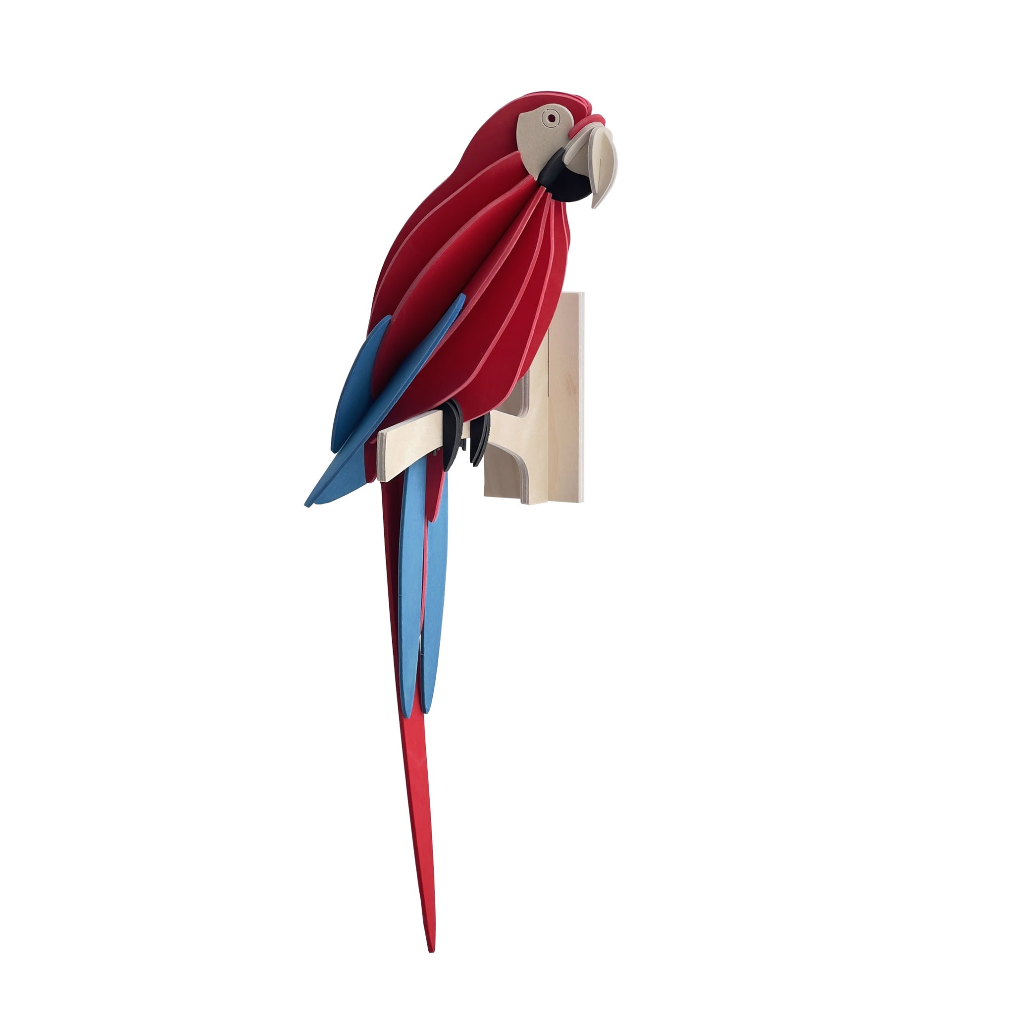 Parrot 26cm - Choice of Colour