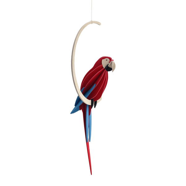 Parrot 26cm - Choice of Colour