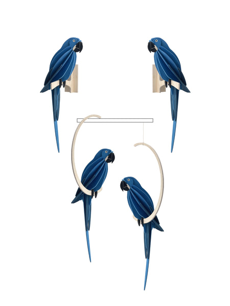 Parrot 26cm - Choice of Colour