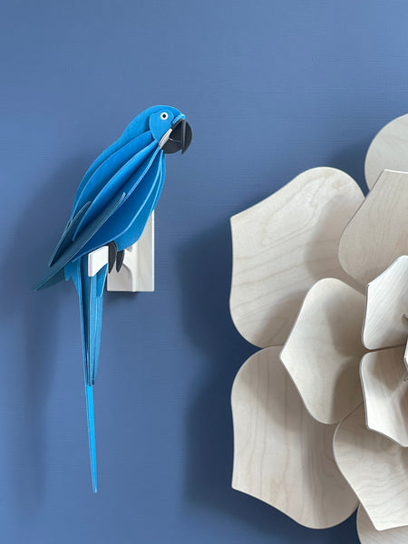 Parrot 26cm - Choice of Colour