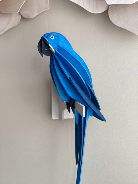 Parrot 26cm - Choice of Colour