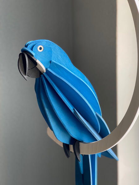Parrot 26cm - Choice of Colour