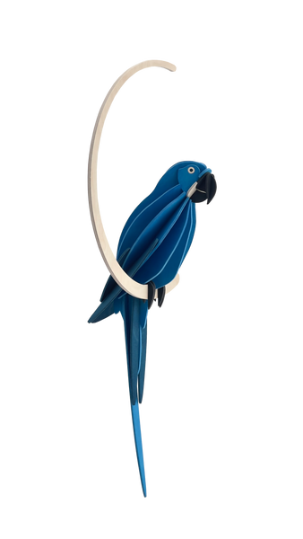 Parrot 26cm - Choice of Colour