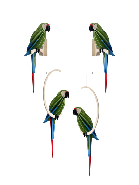 Parrot 26cm - Choice of Colour
