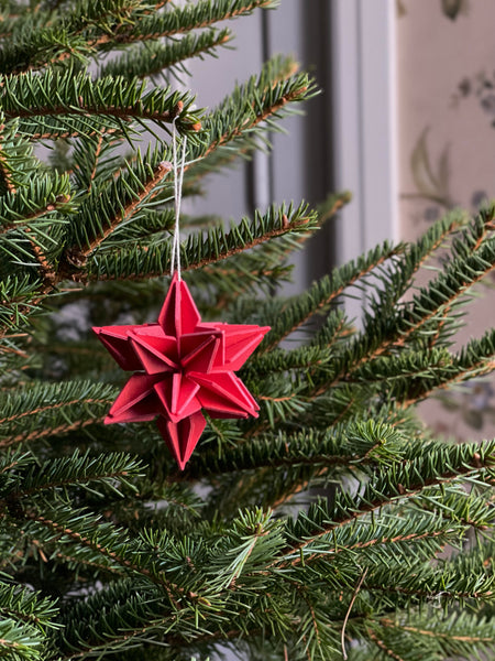 Star 5cm (6 pack) - Choice of Colour