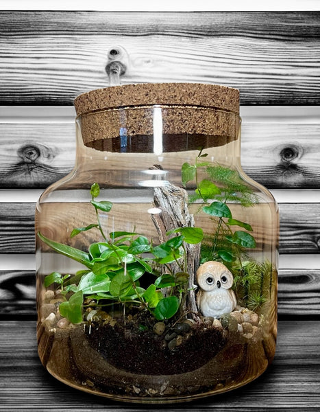 In Person Terrarium Workshop