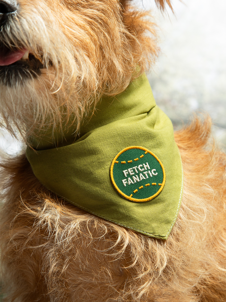 Fetch Fanatic iron- on patch for pets