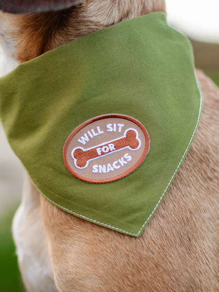 Will Sit For Snacks iron-on patch for pets