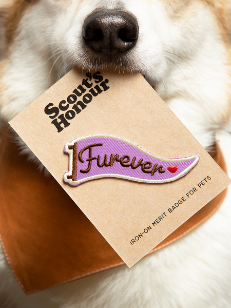Furever iron-on patch for pets