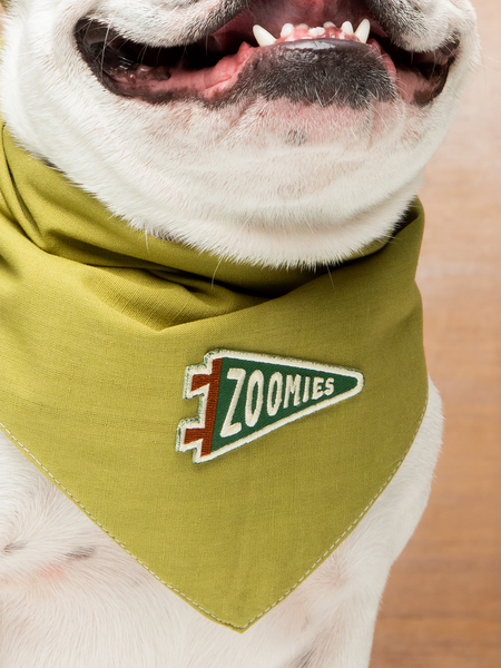 Zoomies iron-on patch for pets