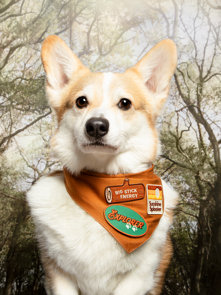 Big Stick Energy iron-on patch for pets