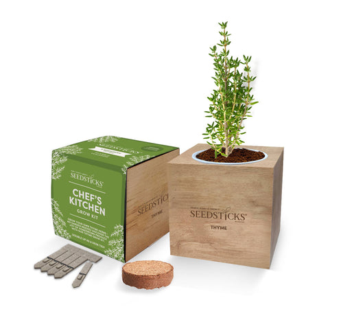 Desktop Cube Gardens Thyme