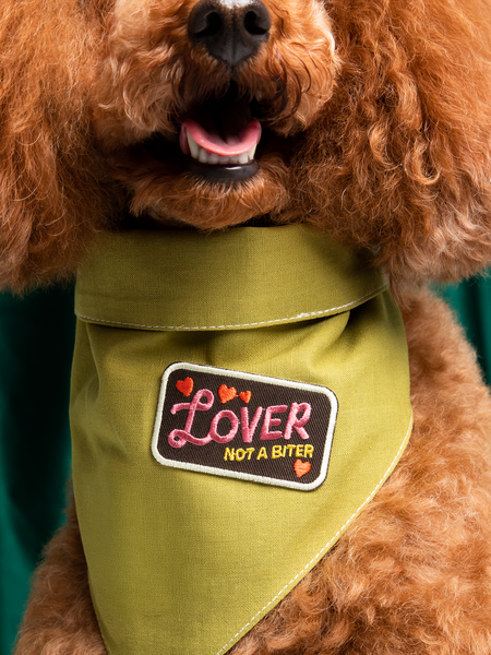 Lover not a Biter iron-on patch for pets