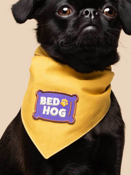 Bed Hog iron-on patch for pets