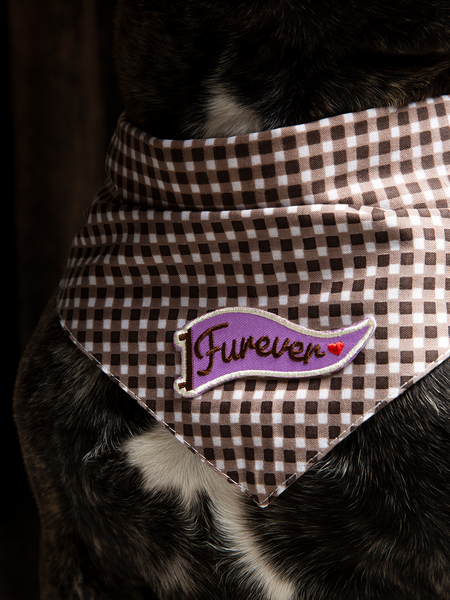 Furever iron-on patch for pets