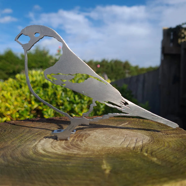 Bullfinch Fence Topper