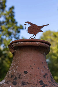 Robin Ground Spike