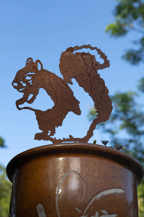 Squirrel Ground Spike
